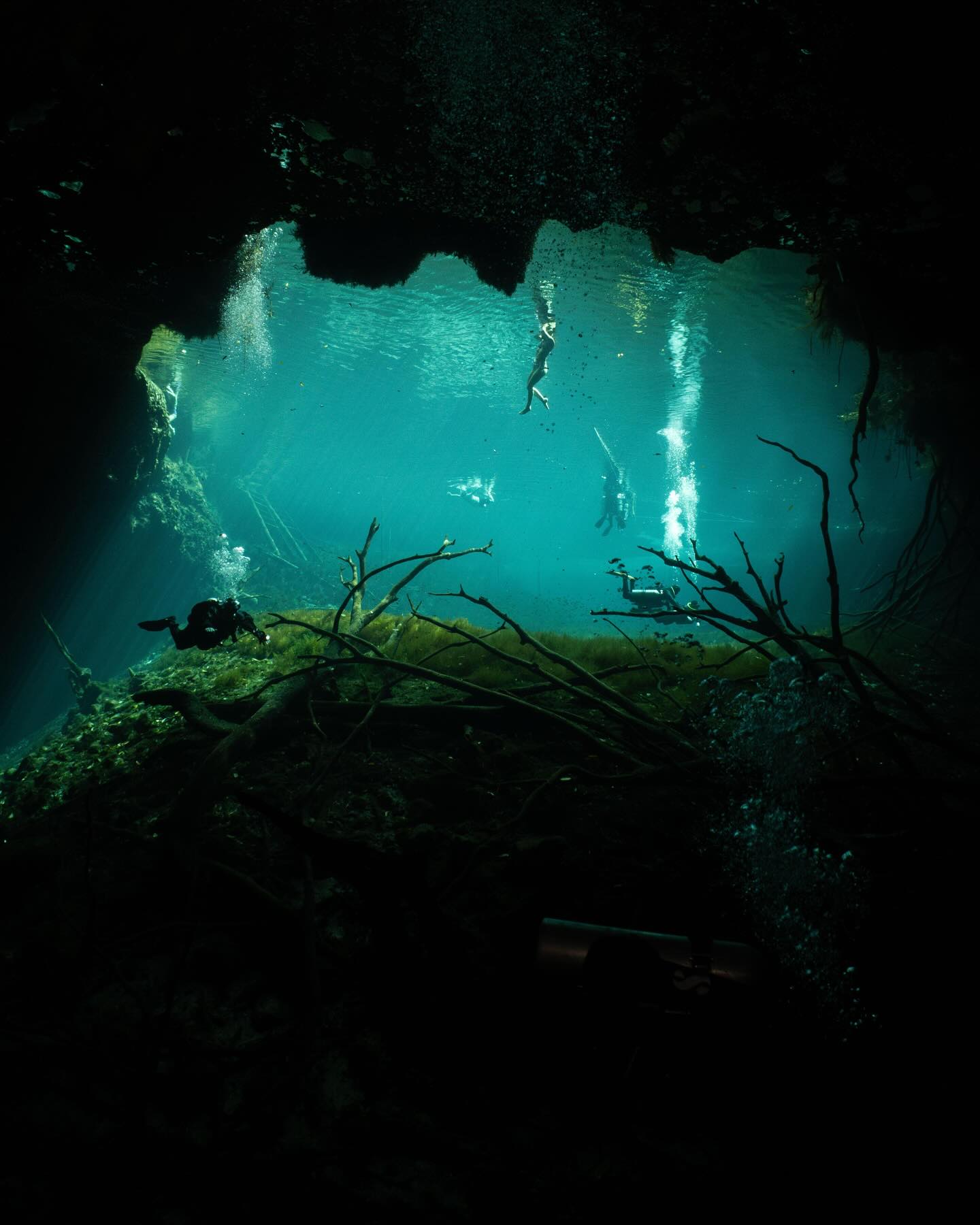 Cenotes photography