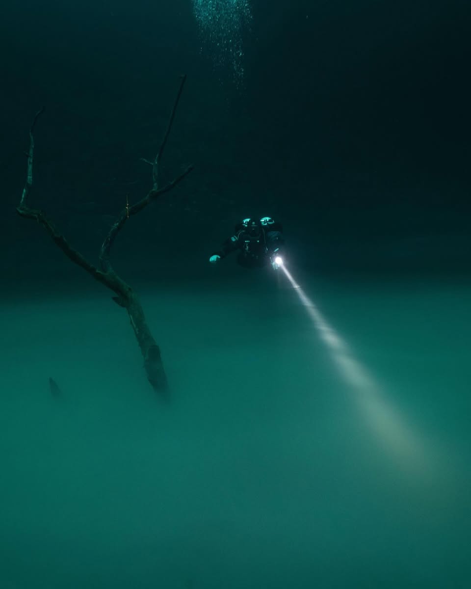 Yucatán Peninsula, creating surreal underwater caverns with spectacular light beams and pristine visibility.